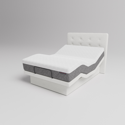 Dawn House Hi-LOW Adjustable Smart Homecare Bed