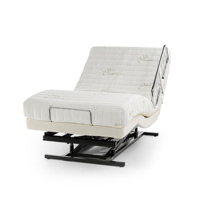 Transfer Master Supernal 3 Function Hi-Low Adjustable Bed with side rail in recline position