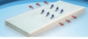 Mattress Options featuring a versatile design for hospital bed, homecare bed, adjustable bed, and hi-low bed use.